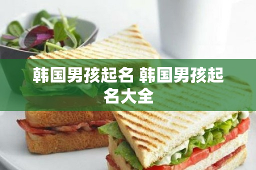 韩国男孩起名 韩国男孩起名大全