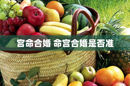 宫命合婚 命宫合婚是否准