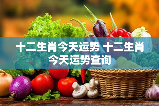 十二生肖今天运势 十二生肖今天运势查询