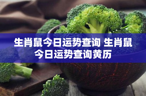 生肖鼠今日运势查询 生肖鼠今日运势查询黄历