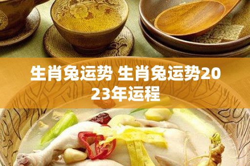 生肖兔运势 生肖兔运势2023年运程