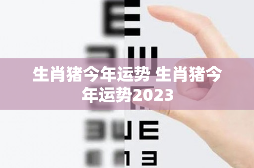 生肖猪今年运势 生肖猪今年运势2023
