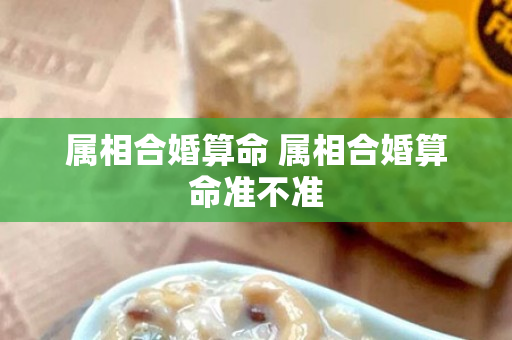 属相合婚算命 属相合婚算命准不准