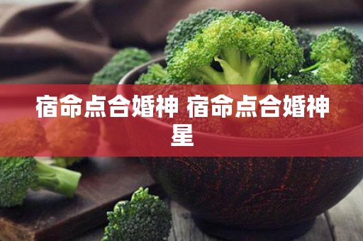 宿命点合婚神 宿命点合婚神星
