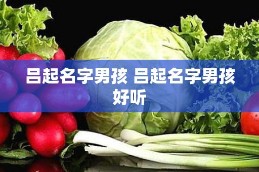 吕起名字男孩 吕起名字男孩好听