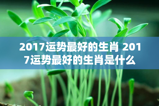 2017运势最好的生肖 2017运势最好的生肖是什么