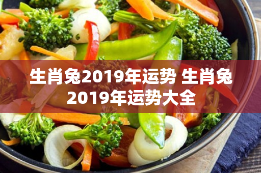 生肖兔2019年运势 生肖兔2019年运势大全