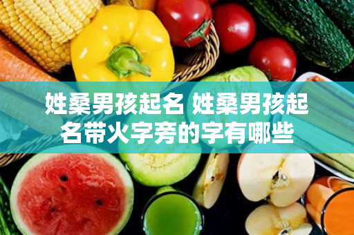 姓桑男孩起名 姓桑男孩起名带火字旁的字有哪些