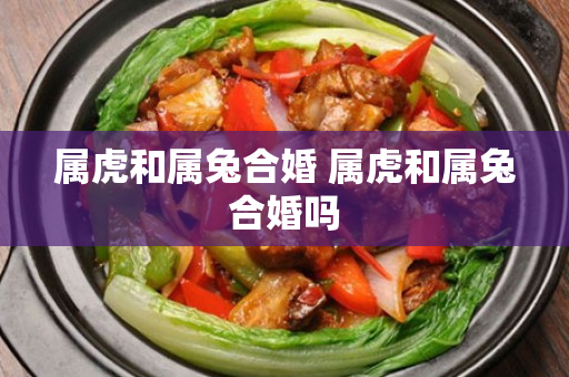 属虎和属兔合婚 属虎和属兔合婚吗