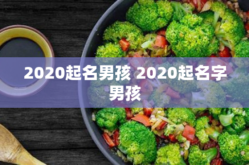 2020起名男孩 2020起名字男孩