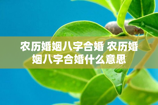 农历婚姻八字合婚 农历婚姻八字合婚什么意思