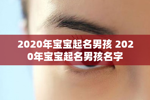 2020年宝宝起名男孩 2020年宝宝起名男孩名字