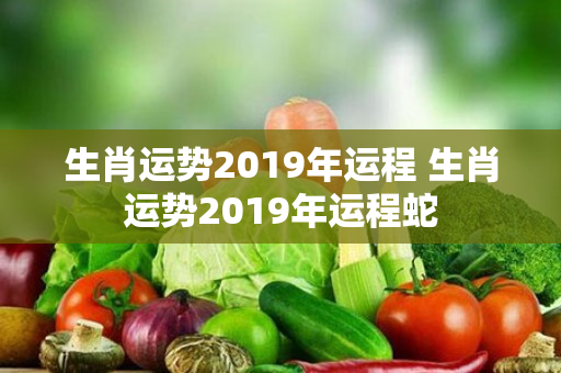 生肖运势2019年运程 生肖运势2019年运程蛇