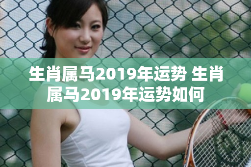 生肖属马2019年运势 生肖属马2019年运势如何