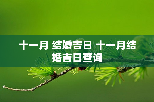 十一月 结婚吉日 十一月结婚吉日查询