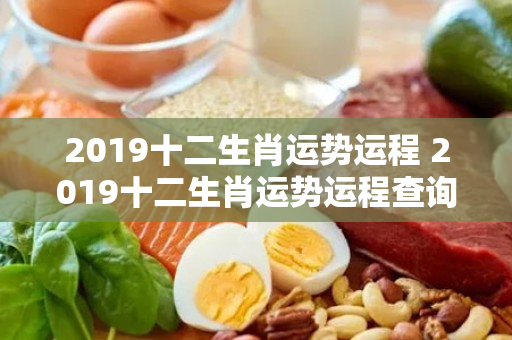 2019十二生肖运势运程 2019十二生肖运势运程查询