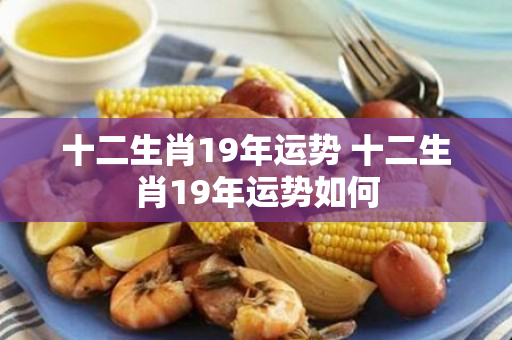 十二生肖19年运势 十二生肖19年运势如何