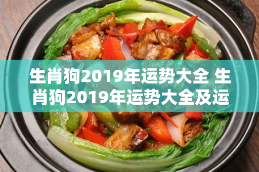 生肖狗2019年运势大全 生肖狗2019年运势大全及运程