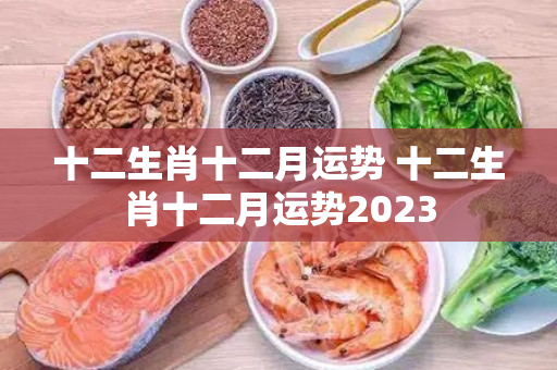 十二生肖十二月运势 十二生肖十二月运势2023