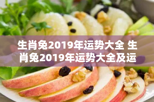 生肖兔2019年运势大全 生肖兔2019年运势大全及运程