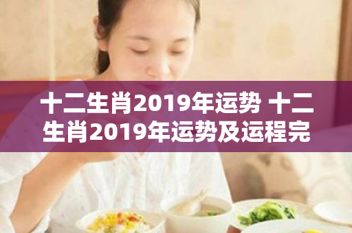 十二生肖2019年运势 十二生肖2019年运势及运程完整