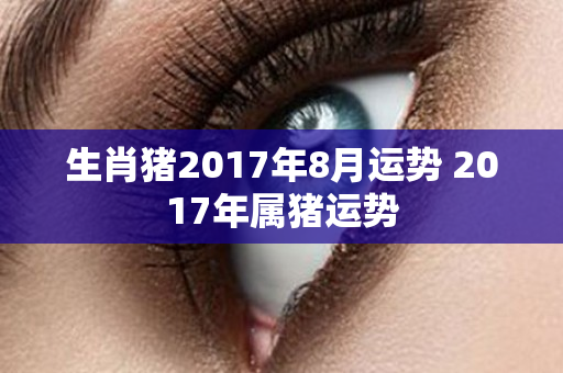 生肖猪2017年8月运势 2017年属猪运势