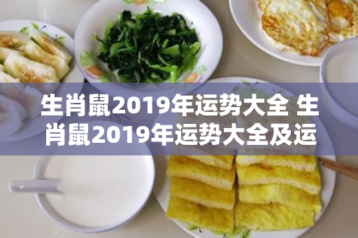 生肖鼠2019年运势大全 生肖鼠2019年运势大全及运程