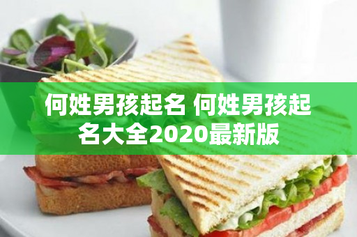 何姓男孩起名 何姓男孩起名大全2020最新版