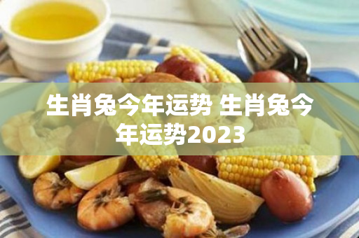 生肖兔今年运势 生肖兔今年运势2023