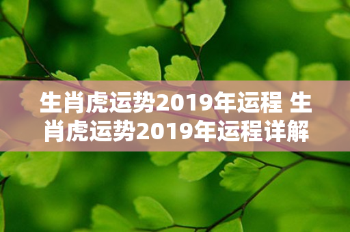 生肖虎运势2019年运程 生肖虎运势2019年运程详解