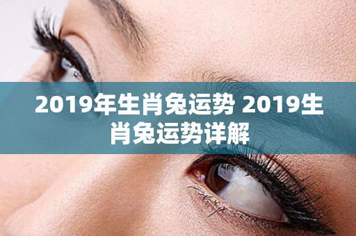 2019年生肖兔运势 2019生肖兔运势详解