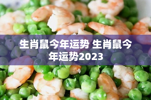 生肖鼠今年运势 生肖鼠今年运势2023