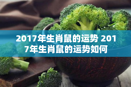 2017年生肖鼠的运势 2017年生肖鼠的运势如何