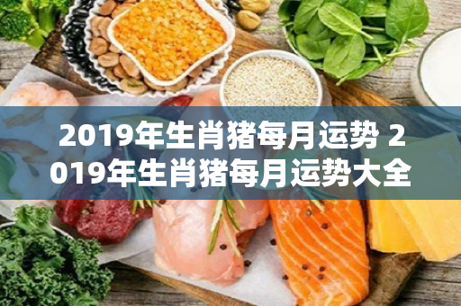 2019年生肖猪每月运势 2019年生肖猪每月运势大全