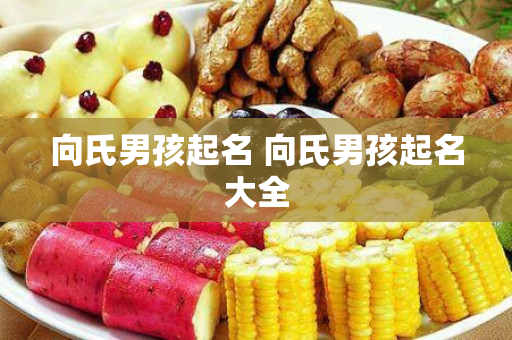 向氏男孩起名 向氏男孩起名大全