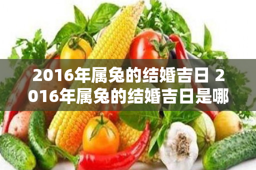 2016年属兔的结婚吉日 2016年属兔的结婚吉日是哪几天