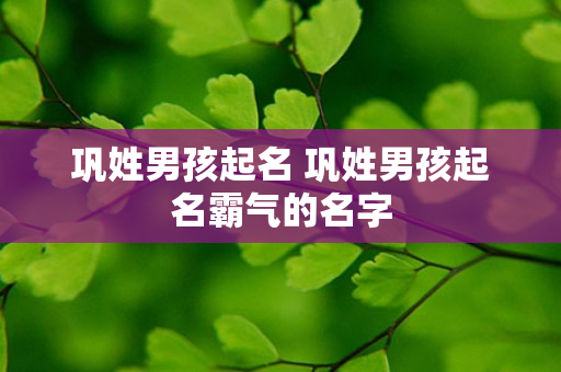 巩姓男孩起名 巩姓男孩起名霸气的名字