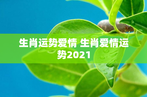 生肖运势爱情 生肖爱情运势2021