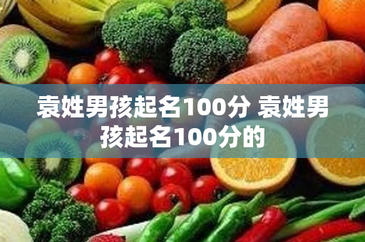 袁姓男孩起名100分 袁姓男孩起名100分的