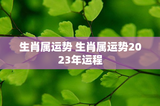 生肖属运势 生肖属运势2023年运程