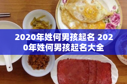 2020年姓何男孩起名 2020年姓何男孩起名大全