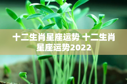 十二生肖星座运势 十二生肖星座运势2022