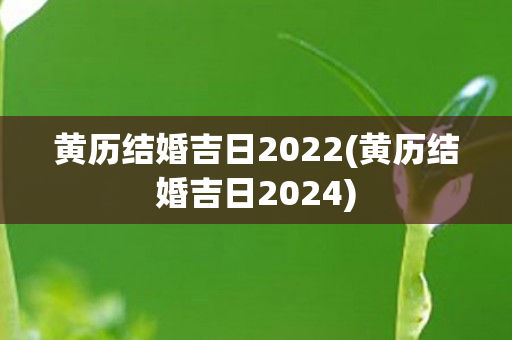 黄历结婚吉日2022(黄历结婚吉日2024)