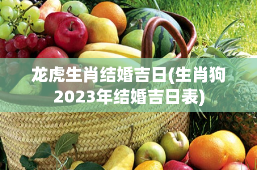 龙虎生肖结婚吉日(生肖狗2023年结婚吉日表)
