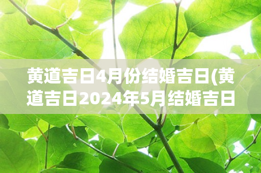 黄道吉日4月份结婚吉日(黄道吉日2024年5月结婚吉日)