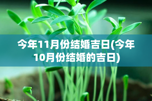 今年11月份结婚吉日(今年10月份结婚的吉日)