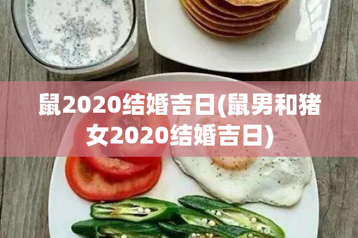 鼠2020结婚吉日(鼠男和猪女2020结婚吉日)