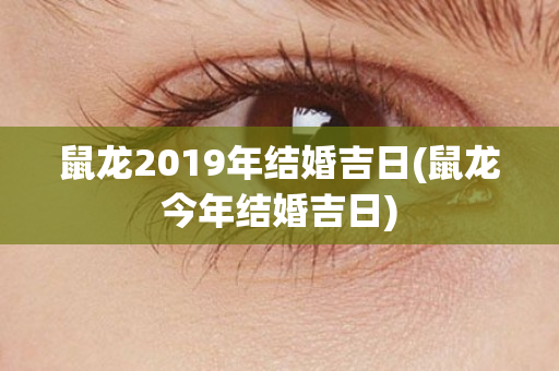 鼠龙2019年结婚吉日(鼠龙今年结婚吉日)