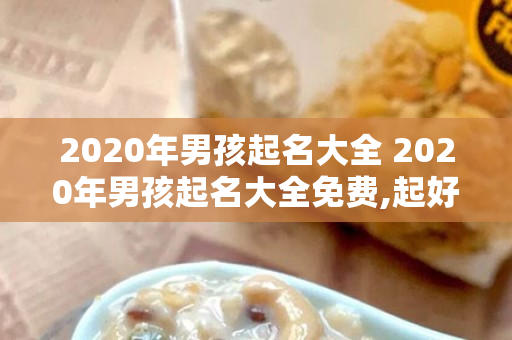 2020年男孩起名大全 2020年男孩起名大全免费,起好的男孩名