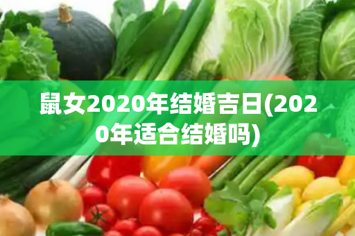 鼠女2020年结婚吉日(2020年适合结婚吗)